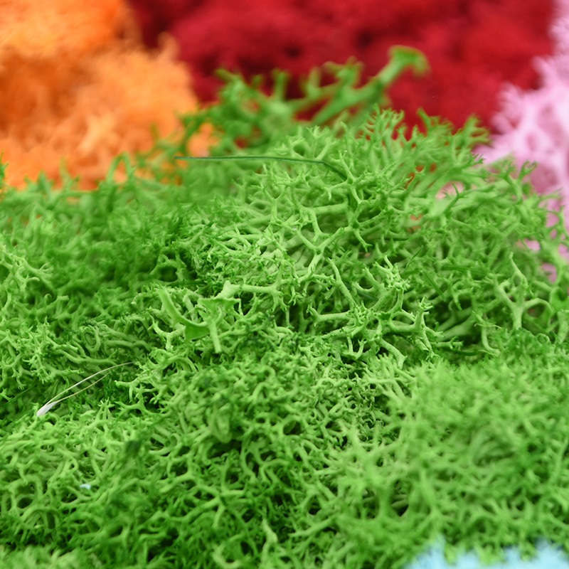 20/40g Artificial Green Plants - Terrarium Moss Art recensione e prezzo