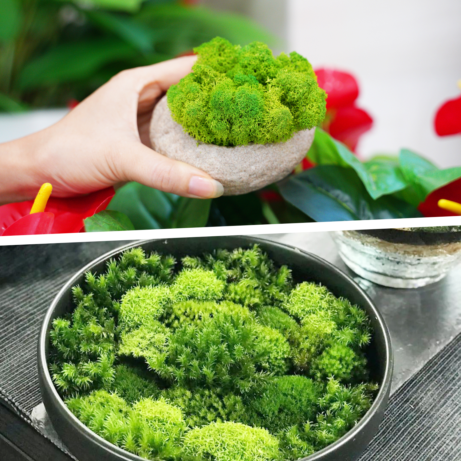 Artificial Green Plants Eterna - Terrarium Moss Art recensione e prezzo