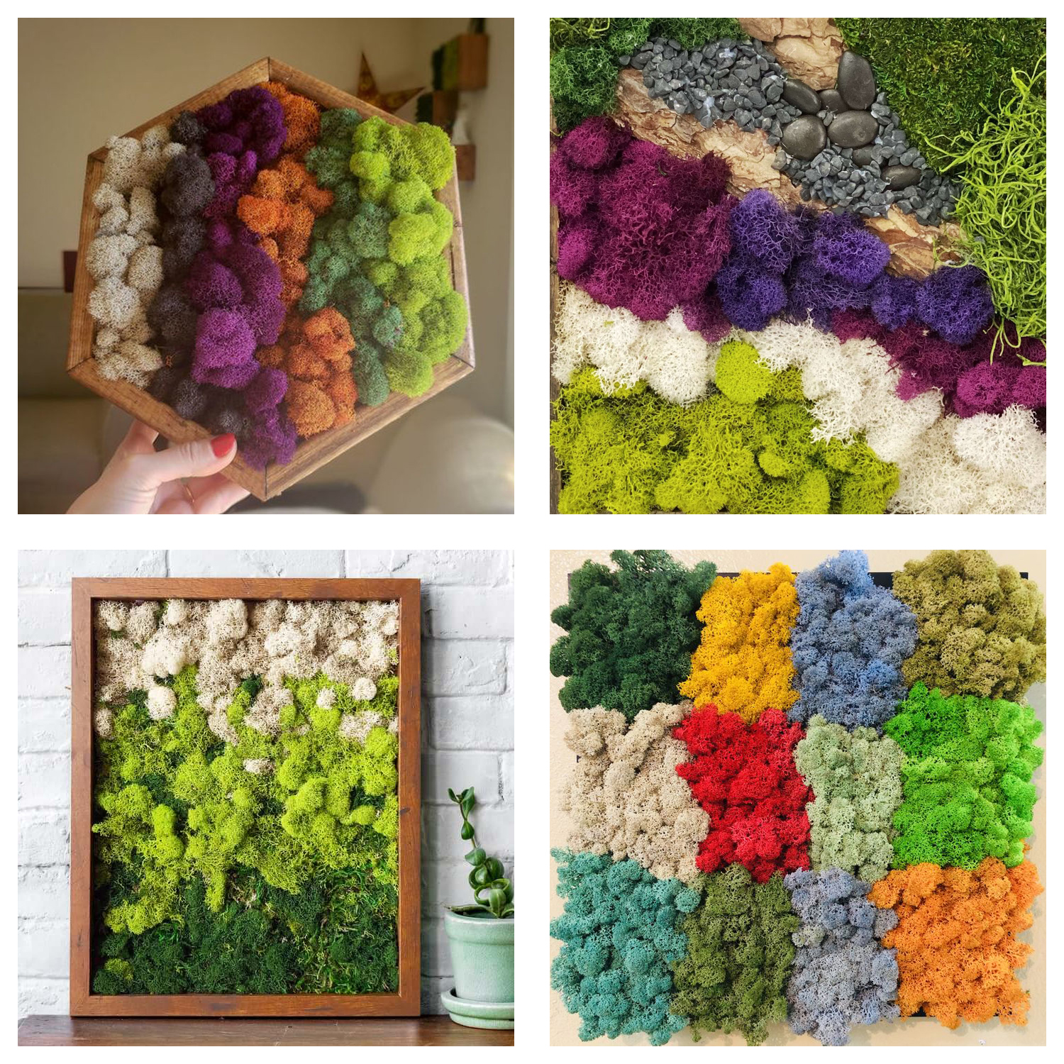 Artificial Green Plants Eterna - Terrarium Moss Art recensione e prezzo