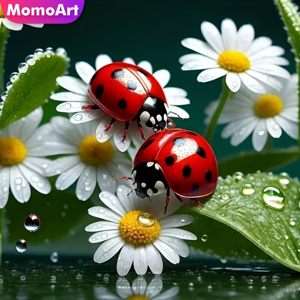 Momoart Diamond Painting Ladyb - Resin Craft For Beginners recensione e prezzo