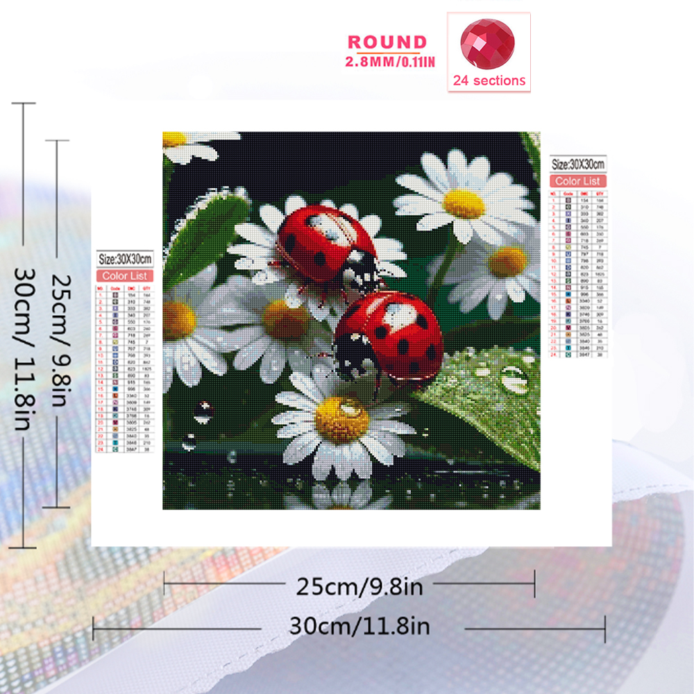 Momoart Diamond Painting Ladyb - Resin Craft For Beginners recensione e prezzo
