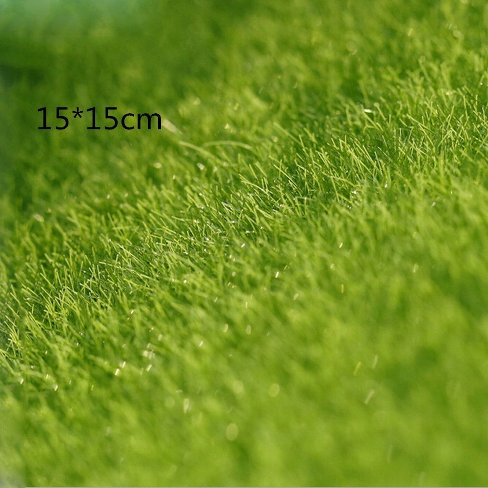 Ecological Lawn Decor Garden O - Terrarium Moss Art recensione e prezzo