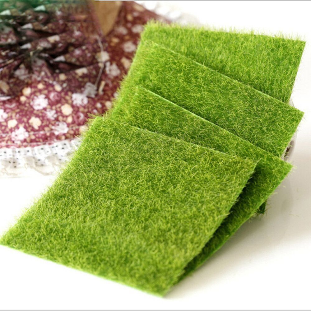 Ecological Lawn Decor Garden O - Terrarium Moss Art recensione e prezzo