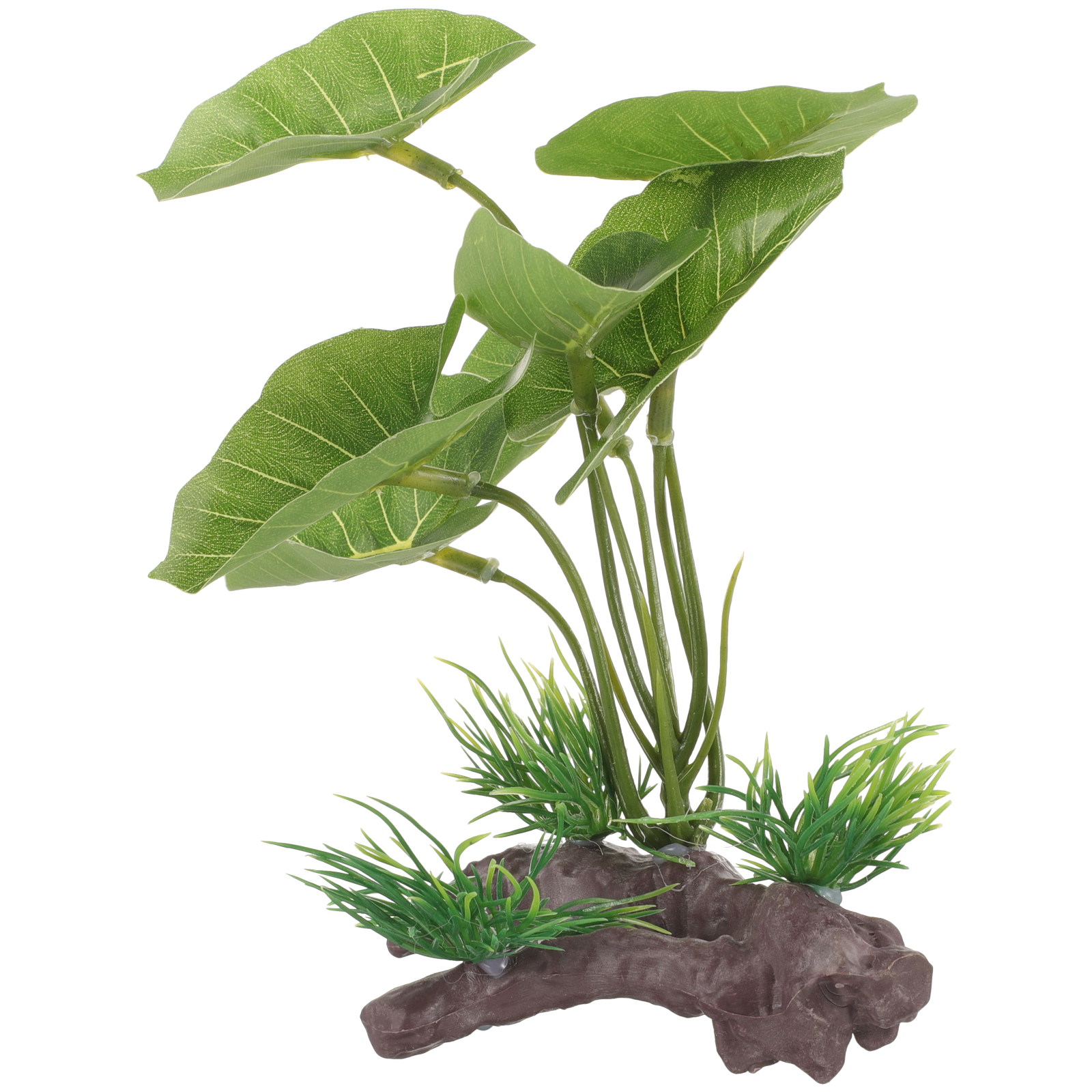 Fish Tank Artificial Water Pla - Terrarium Moss Art recensione e prezzo