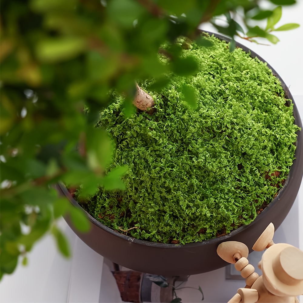 1pack Artificial Fake Moss, 1. - Terrarium Moss Art recensione e prezzo