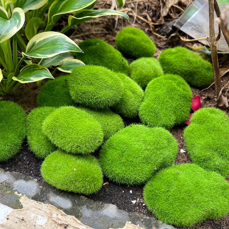 5/30pcs Simulation Moss Stone  - Terrarium Moss Art recensione e prezzo