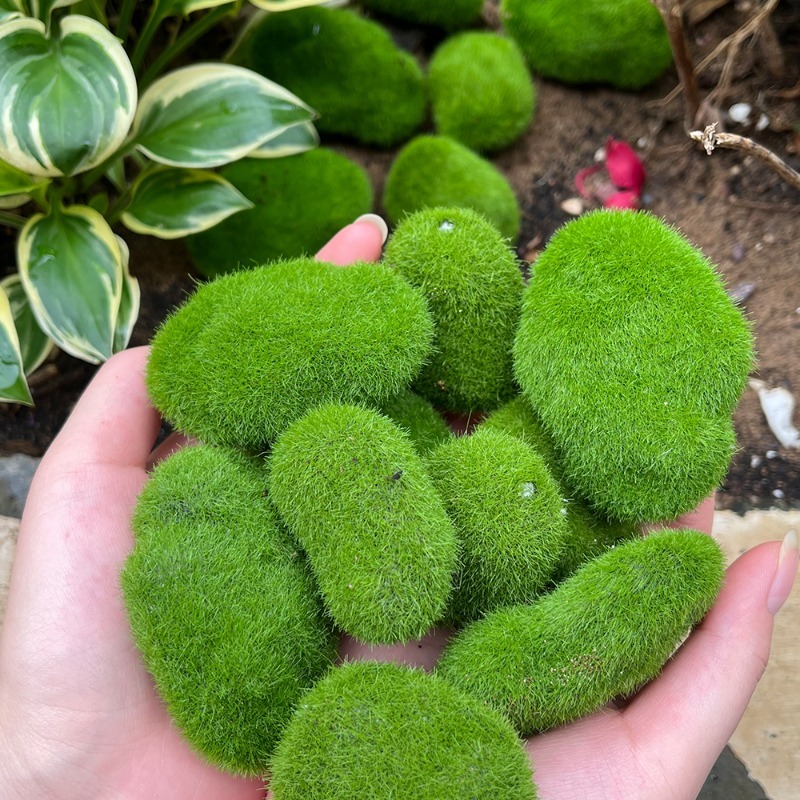 5/30pcs Simulation Moss Stone  - Terrarium Moss Art recensione e prezzo