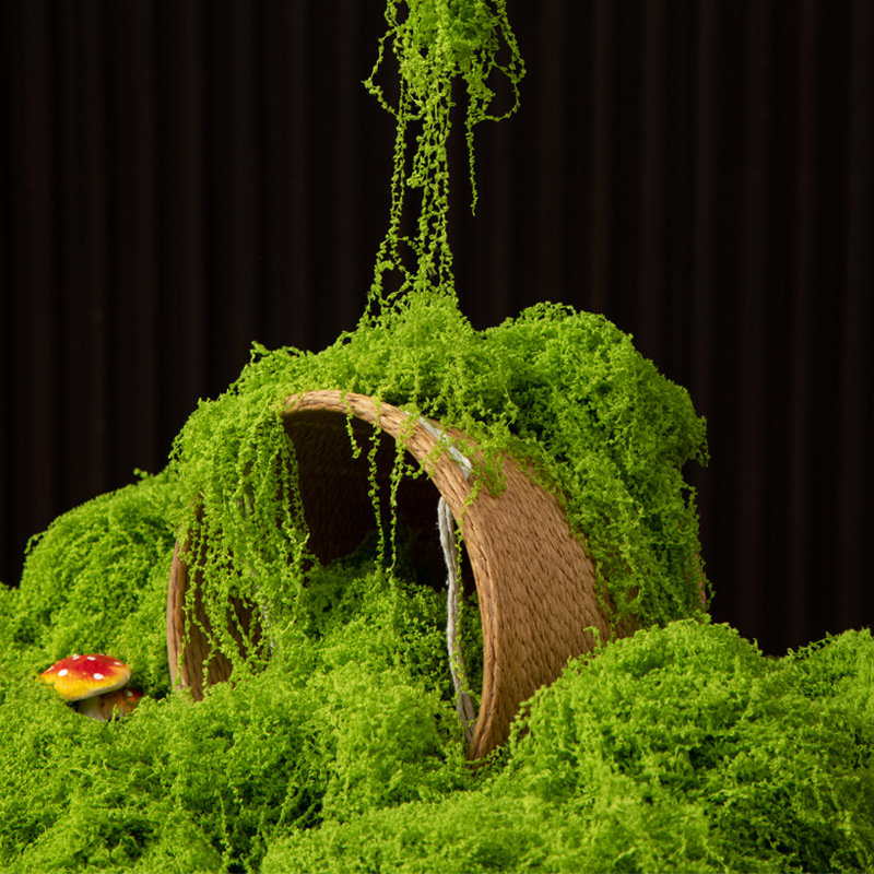 200g Eternal Life Moss DIY Cra - Terrarium Moss Art recensione e prezzo