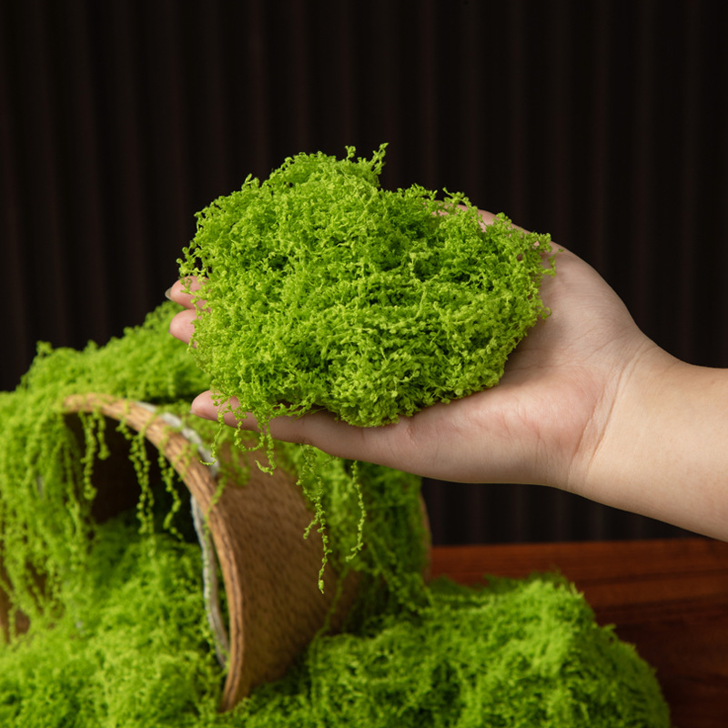 200g Eternal Life Moss DIY Cra - Terrarium Moss Art recensione e prezzo