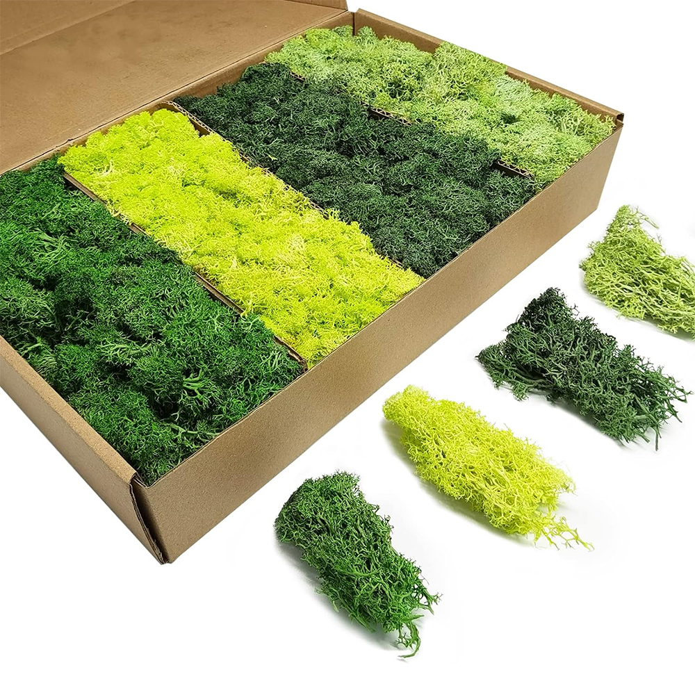 Artificial Green Plants Eterna - Terrarium Moss Art recensione e prezzo