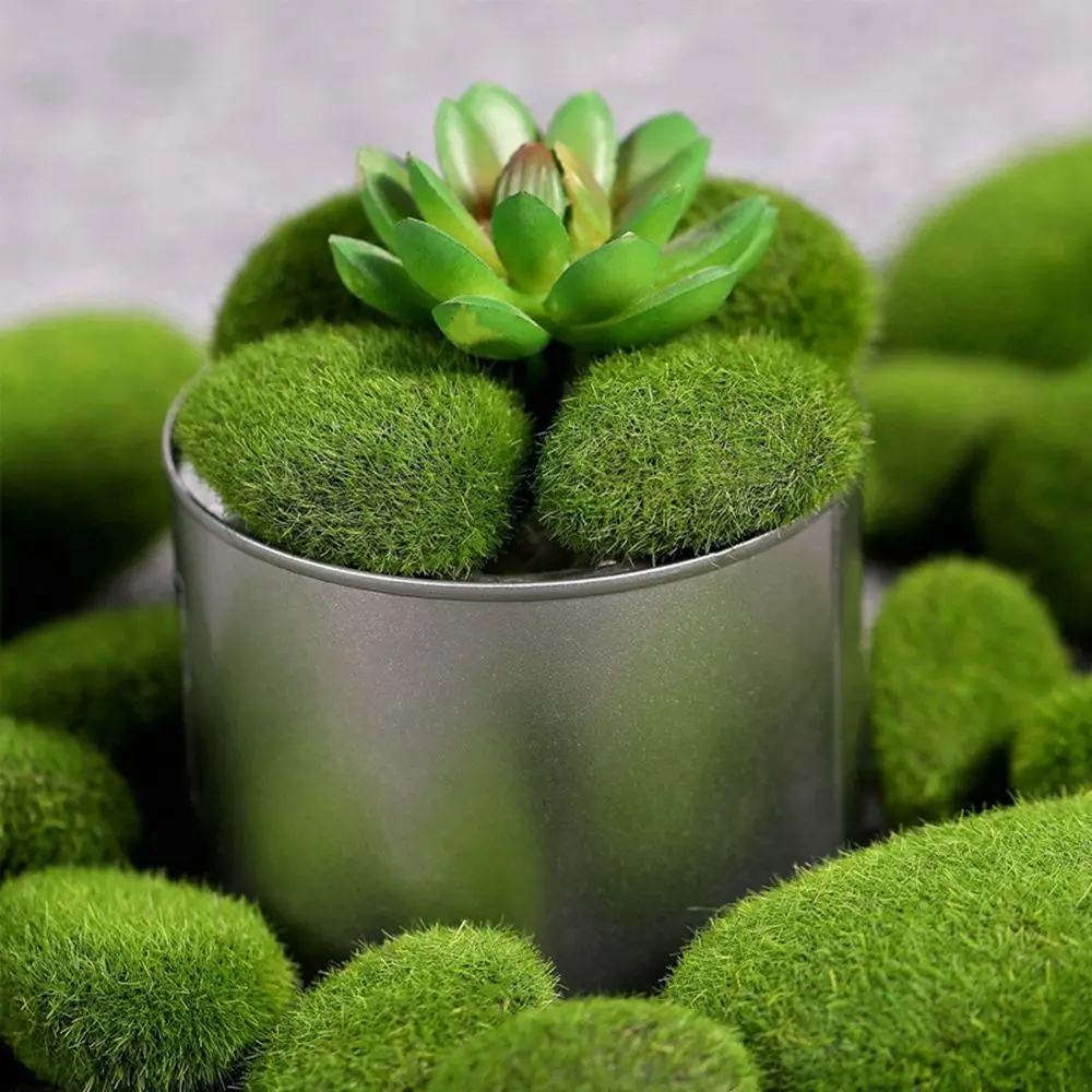 Floral Arrangements Fake Stone - Terrarium Moss Art recensione e prezzo