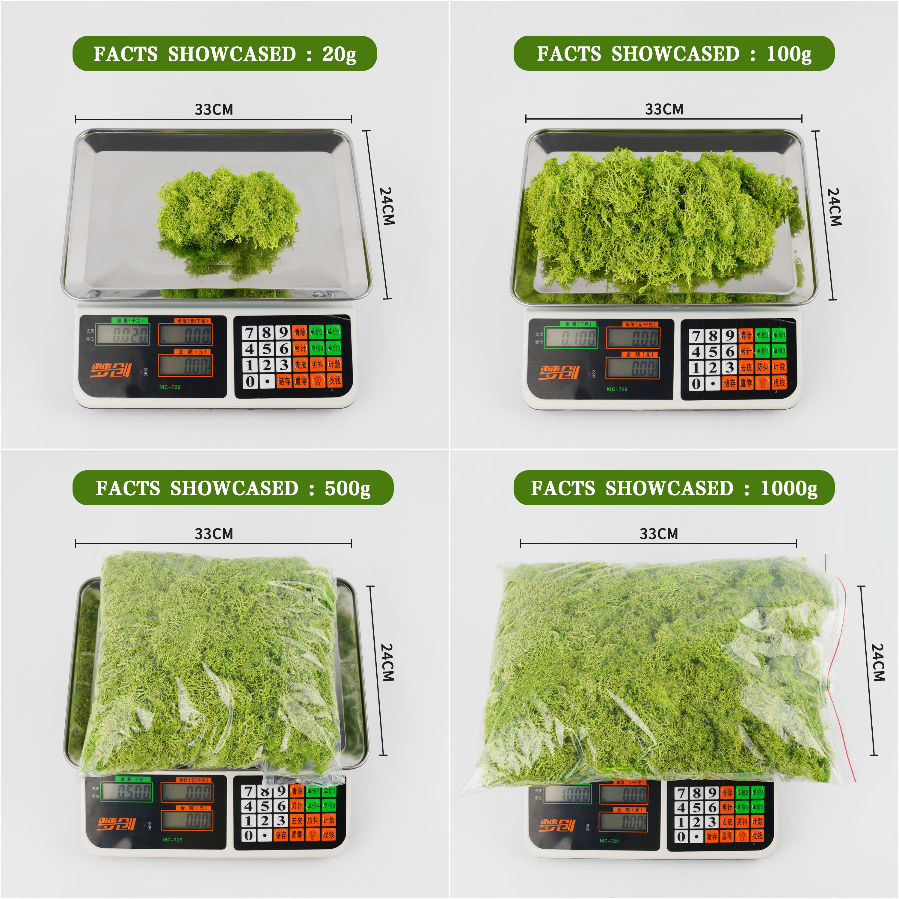 20/40/100g Eternal Life Moss D - Terrarium Moss Art recensione e prezzo