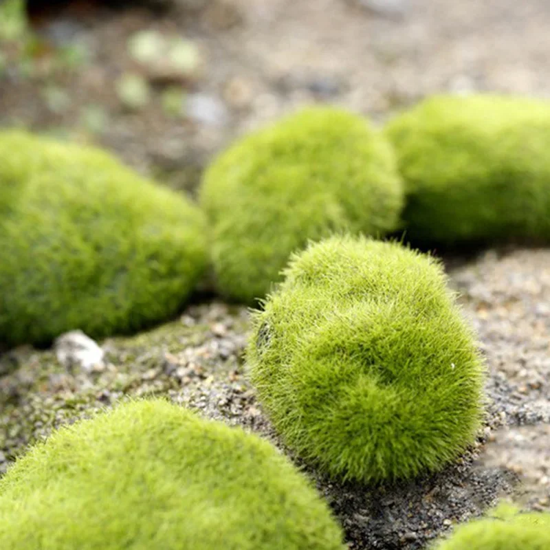 Fake Stone Artificial Moss Roc - Terrarium Moss Art recensione e prezzo