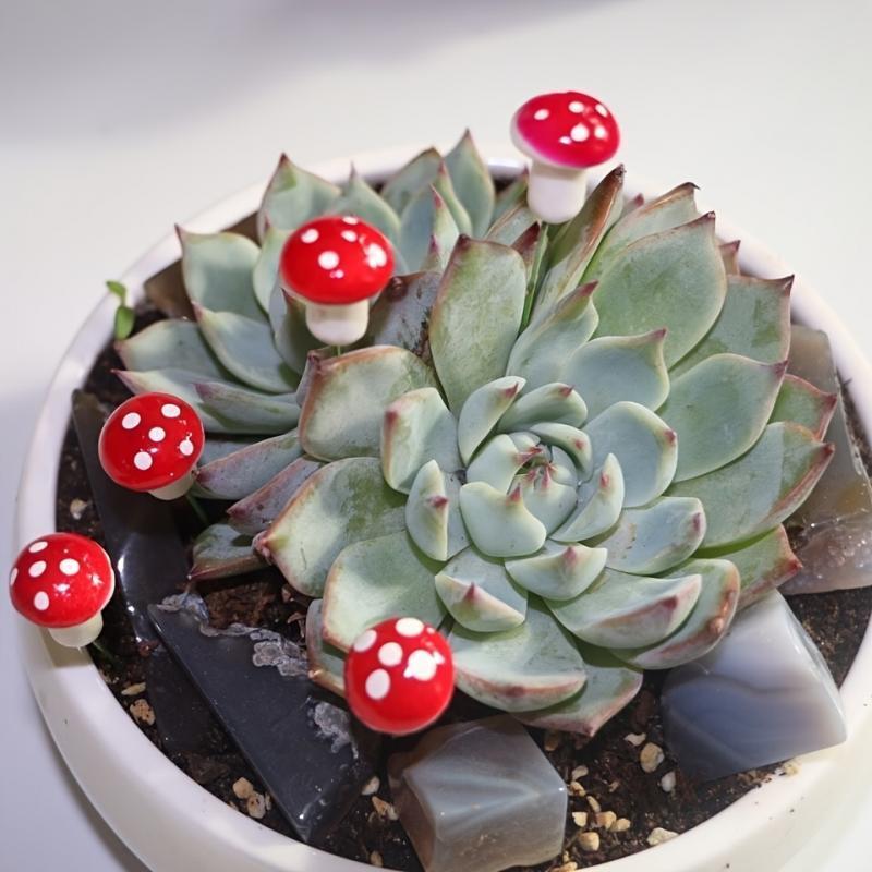 10-80PCS Mini Color Mushroom D - Terrarium Moss Art recensione e prezzo