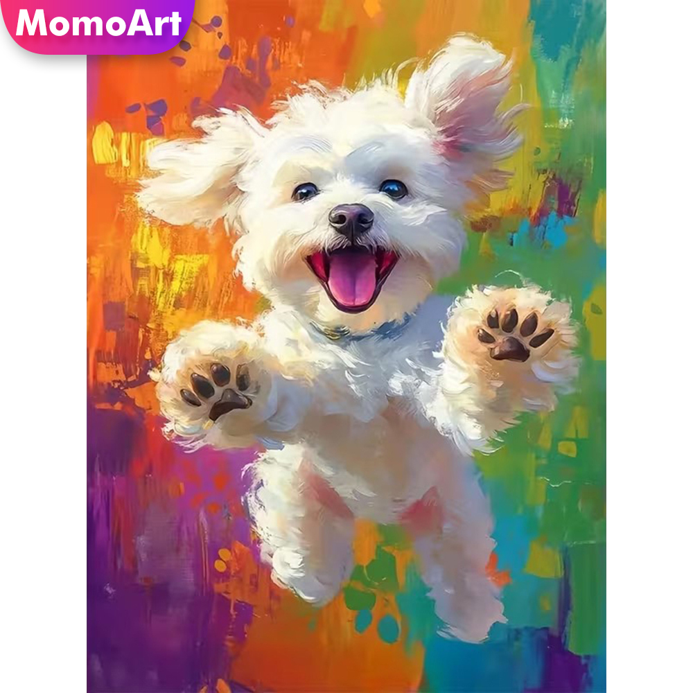 Momoart DIY Diamond Painting D - Resin Craft For Beginners recensione e prezzo