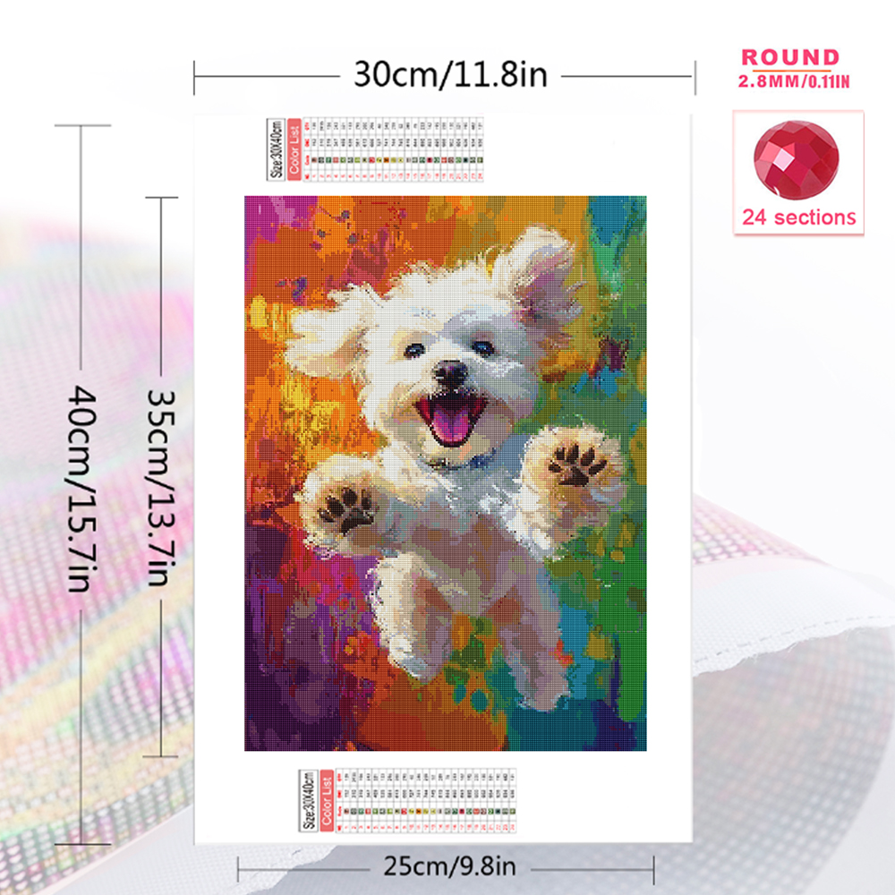 Momoart DIY Diamond Painting D - Resin Craft For Beginners recensione e prezzo
