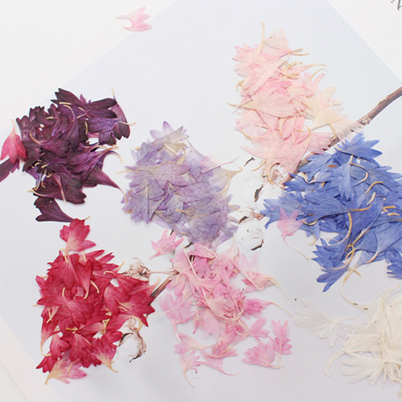 20 Plant Specimens, Cornflower - Resin Jewelry Kit recensione e prezzo