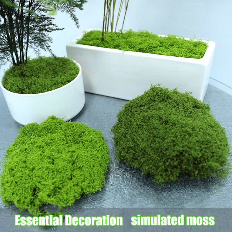 Artificial simulation of moss  - Terrarium Moss Art recensione e prezzo