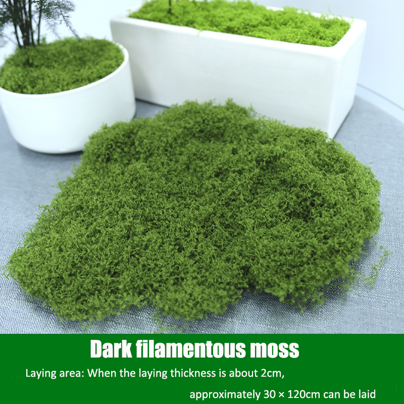 Artificial simulation of moss  - Terrarium Moss Art recensione e prezzo