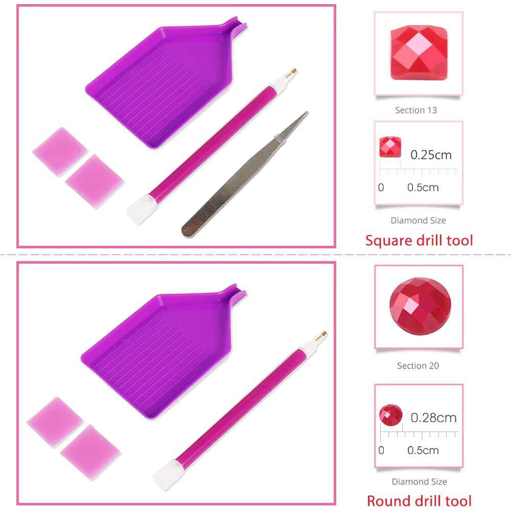 Evershine Diamond Painting Wom - Resin Craft For Beginners recensione e prezzo
